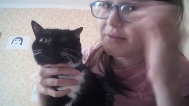 15 фактов о кошке смотреть онлайн