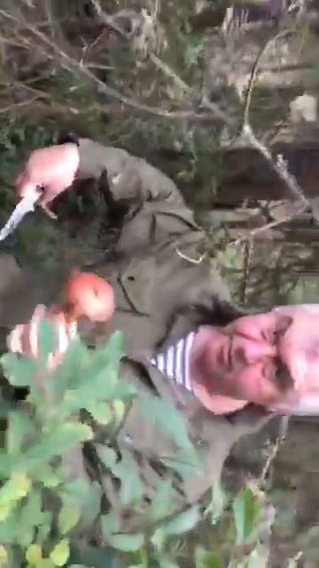 Грибы 2015 смотреть онлайн