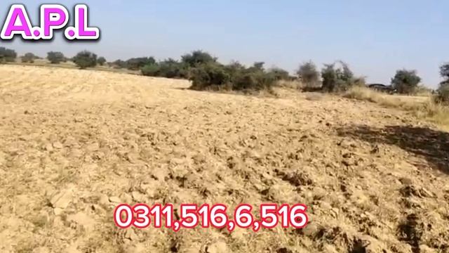 560 kanal raqba for sale. attock pindigeb. смотреть онлайн