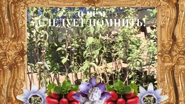 госпожа у дачи 2105 1 смотреть онлайн