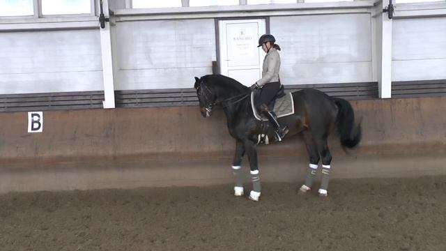 00152 смотреть онлайн