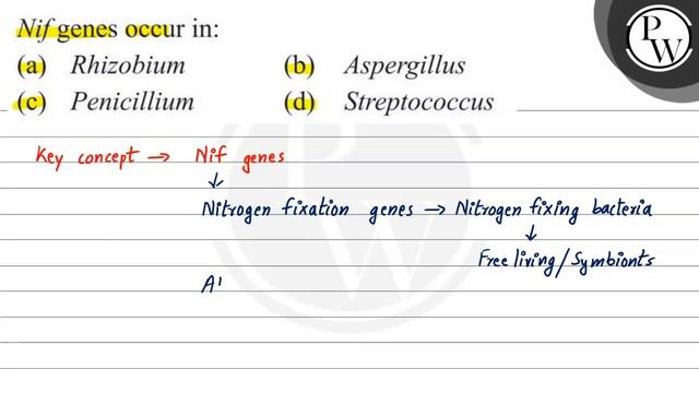 Nif Genes Occur In:
(a) Rhizobium
(b) Aspergillus
(c) Penicillium
(...