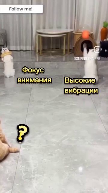 Текст в комментариях под видео👇 смотреть онлайн