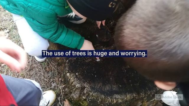 Climate Action Project - Week 4, PU "Olga Jovičić-Rita", Kraljevo смотреть онлайн