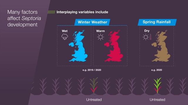 Chapter 2 - Challenges of Septoria tritici management смотреть онлайн