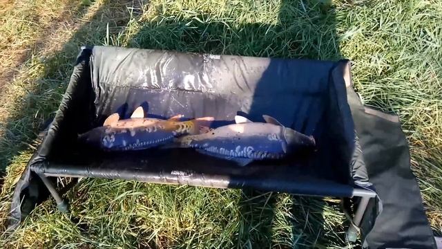 День Рыбака смотреть онлайн