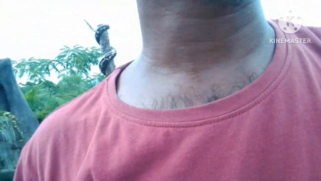 barai nursiry Goalpara. gos Puli .ful aru an koba kibi pabo смотреть онлайн