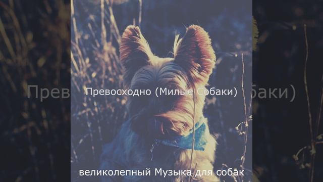 Звуки (Спящие собаки) смотреть онлайн