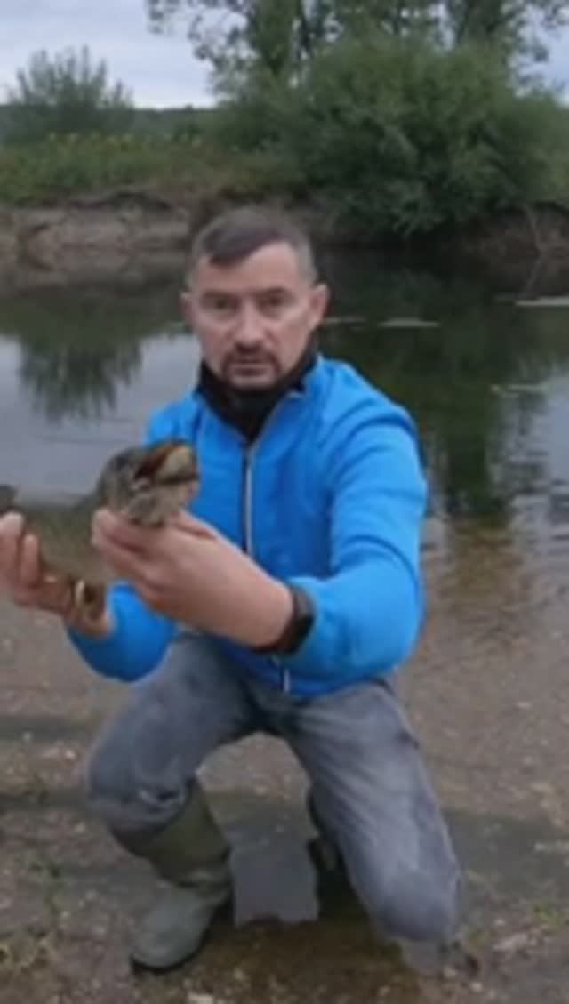 Атака щуки на воблер от АЙСЛАЙД БЕРКИНГ! I SLIDE BEARKING! Ловля щуки на воблеры смотреть онлайн