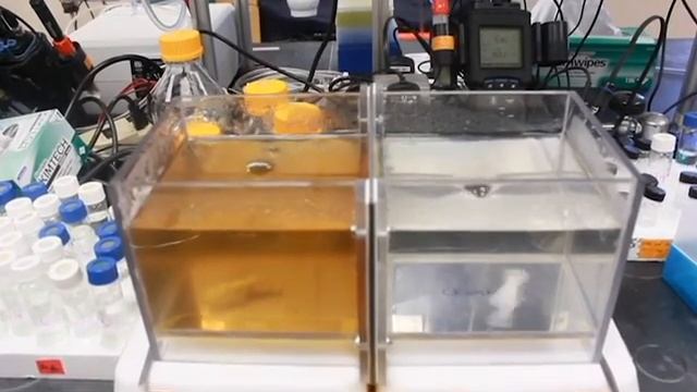 Barley Prize - Nutrient Extraction And Recovery Devices (NERDs)