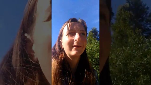 Сбор грибов