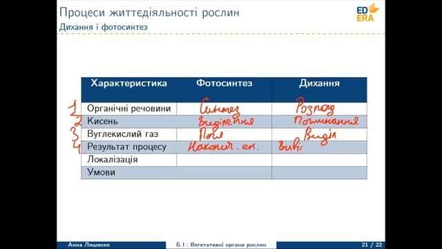 Пагін: листок. Процеси життєдіяльності рослин (Життєдіяльність рослин). Відео 1 2 3 4