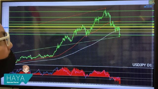12月23日 海外FX 億トレーダーHAYAの相場考察【年内最終仕上げ！PCEデフレーター】 смотреть онлайн