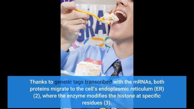 Infographic: A Yeast Model For Studying Histone Modifications