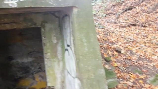 Немецкий дот блиндаж нашли в лесу, а ведь пошли за грибами в лес