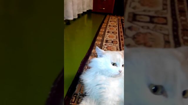 какие добрые глаза смотреть онлайн