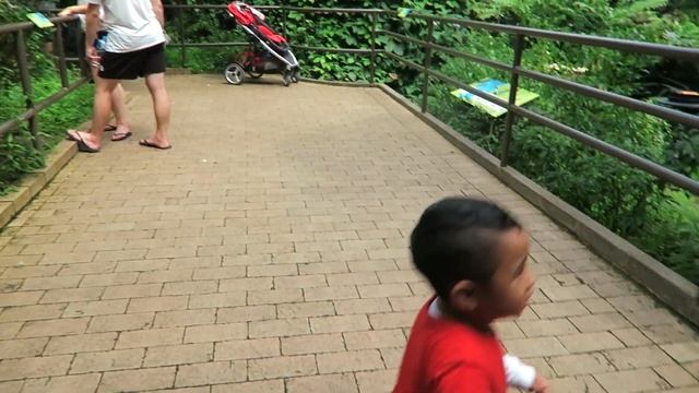 BUHAY SA AUSTRALIA: DISCOVER MELBOURNE ZOO | TRAIN RIDE | ANIMALS ADVENTURE FOR KIDS | FAMILY VLOG смотреть онлайн