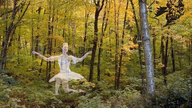 Осень элегия Пушкин А.С.