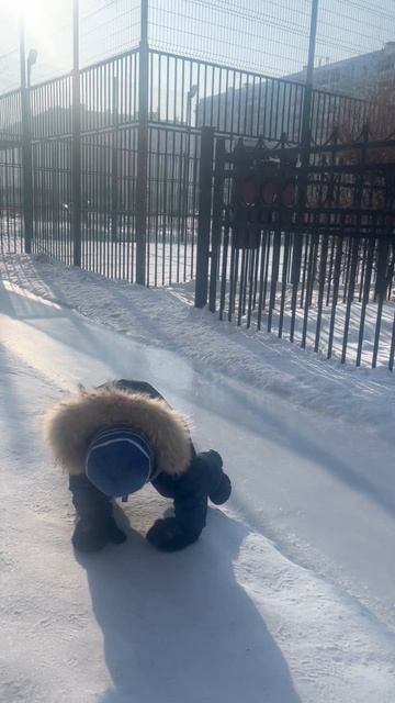 Володя катится с горки в соседнем дворе 23.01.2025 смотреть онлайн