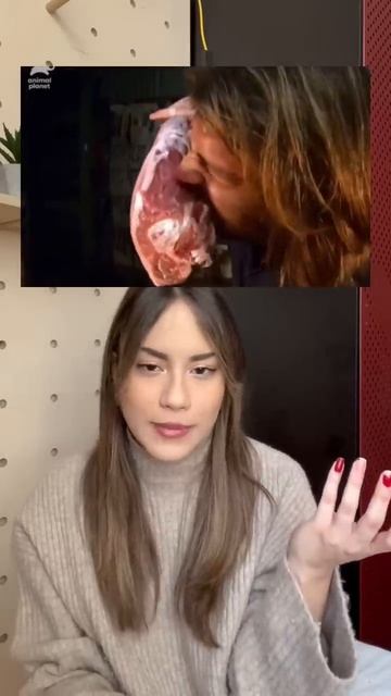 A BIZARRA MORIDDA DO DRAGÃO DE KOMODO смотреть онлайн