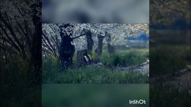 Ертай Райымбек смотреть онлайн