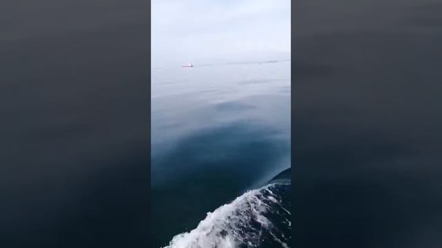 Рыбалка на камбалу, 2020г катер Кабачок 🙄🎣 смотреть онлайн