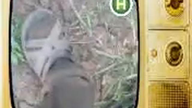 На Новом канале искать кротов смотреть онлайн