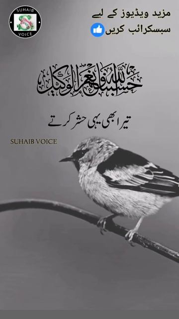 Peer Ajmal Raza Qadri Emotional Bayan Status🥺 Islamic WhatsApp Status😭#bayan #2022 #islam #shorts