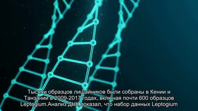 В Африке нашли десятки новых видов лишайников смотреть онлайн