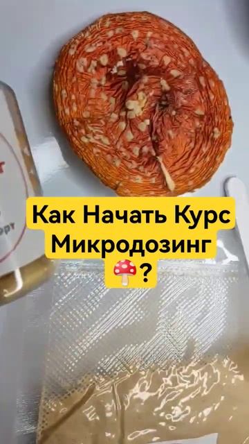 Как Начать Курс Микродозинг 🍄? #микродозинг #мухомор #микродозингмухомора #ежовик