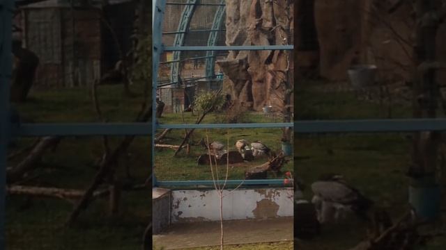 2 июня 2019 г. смотреть онлайн