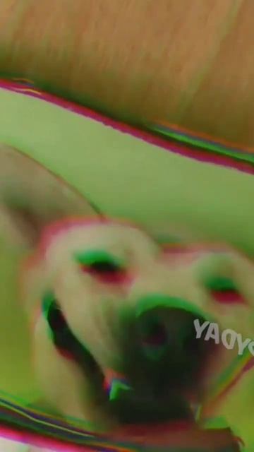 Смешные моменты с животными 🤣😄#shorts #shorts #animals #приколы #животные #video #2022 #видео смотреть онлайн