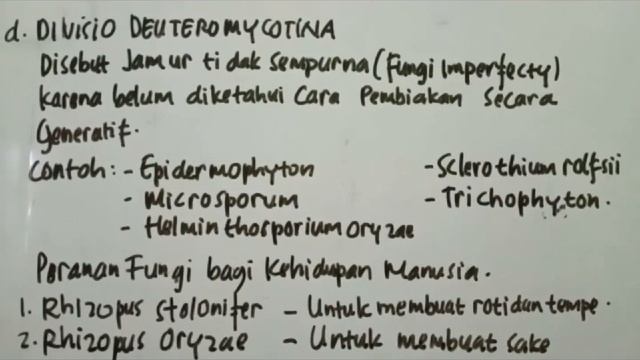 Biologi SMA Tentang Fungsi Jamur смотреть онлайн