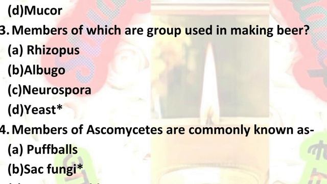 Tgt Pgt Biology Practice Paper In Hindi| Lt Gic Biology Practice Paper| Tgt Pgt Biology Classes|