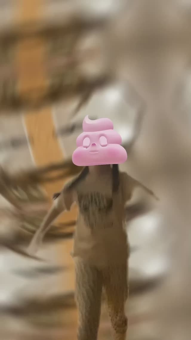 #я#стала#розовой какашкой🤣🤣🤣🤣