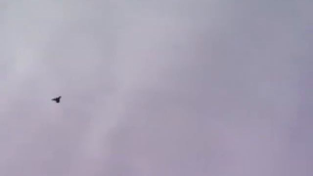 Курсак смотреть онлайн