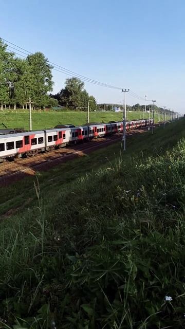 Скоростной поезд «Ласточка» рейсом «Комфорт» со всеми остановками смотреть онлайн