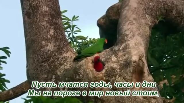 Весь мир в ожиданье,что ждёт впереди? - христианская песня смотреть онлайн