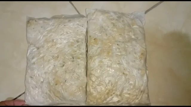 Pembuatan Tempe. By: kelompok 4. Tugas mikrobiologi смотреть онлайн