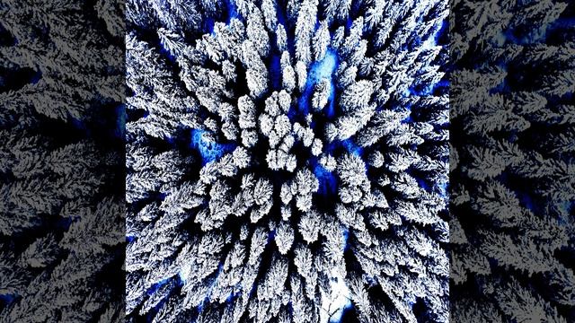 Tiger skin смотреть онлайн