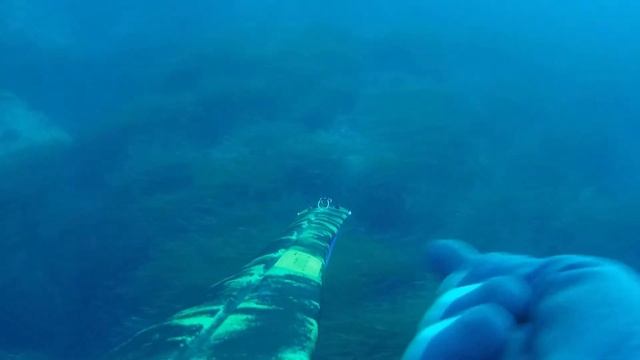 Barracuda di San Damiano смотреть онлайн