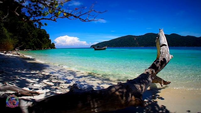 live from the beach of haad sai khao on Ko Adang, neighbor of koh lipe in thailand смотреть онлайн