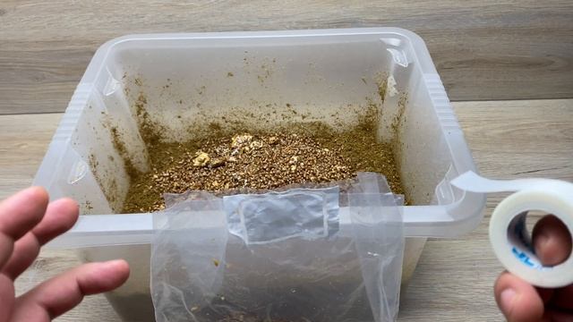 Pilze züchten für Anfänger ( unsteril ) Teil 1 смотреть онлайн