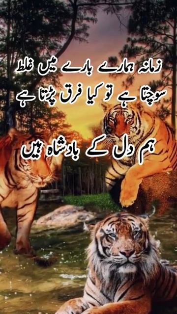 Deep LineShayari/DeepShayriAina Line Whats AppStatus/ #shorts#status #youtubeshouts смотреть онлайн