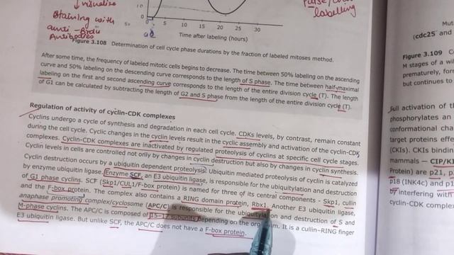 CELL DIVISION Ll CELL CYCLE। CSIR-DEC Ll CSIR NET JRF। Life Science L GATE L LECTURE-1