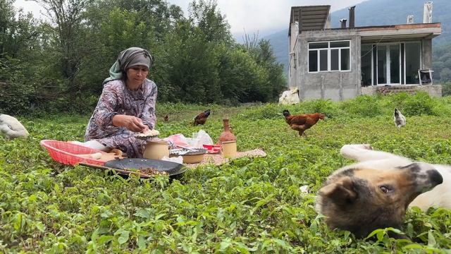 Village Lifestyle In IRAN | Nomad Life In Iran | Rural Life In Iran