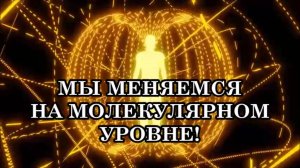 ЧТО ПРОИСХОДИТ С ТЕЛОМ? МЫ МЕНЯЕМСЯ НА МОЛЕКУЛЯРНОМ УРОВНЕ!