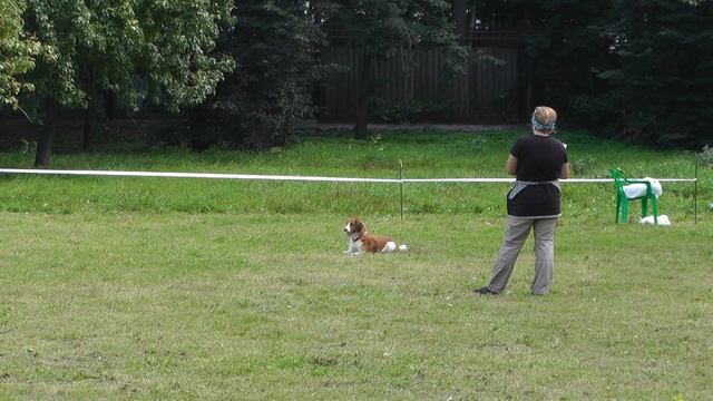 УСКЦ "Останкино" - обидиенс 10.08.2013 г. смотреть онлайн