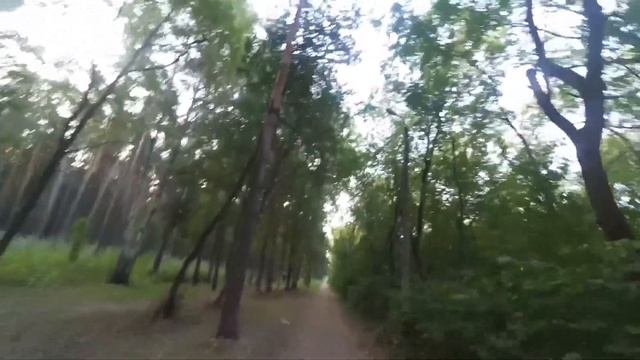 Шаг за шагом худеем. 31/08/2018