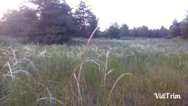 После работы за грибами